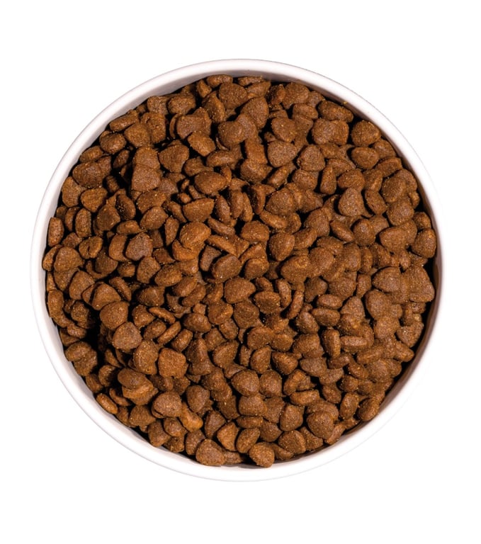 Just Grain Free Ração Gato Adulto Frango - imagen 3 de 4