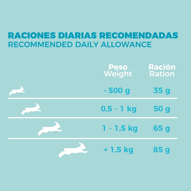 Adult Rabbit - imagen 11 de 11