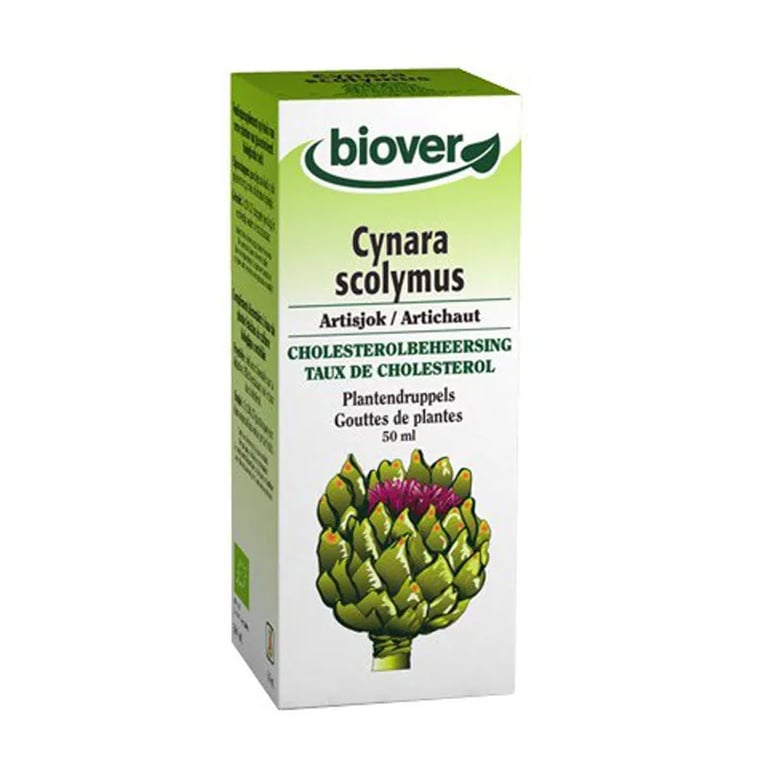 Alcahofa Cynara Scolymus