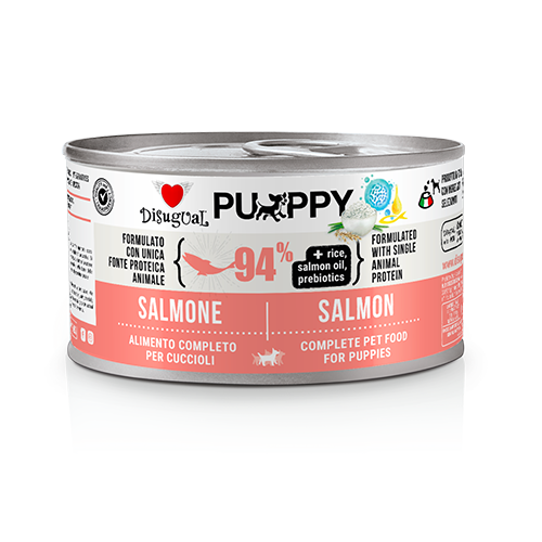 Puppy Salmón