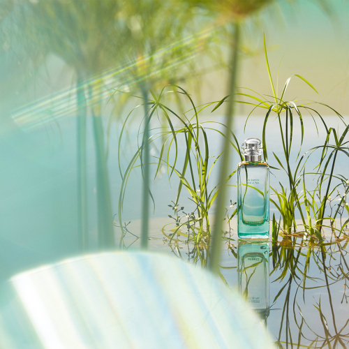 Un Jardin Sur Le Nil EDT 50 ml von Hermes