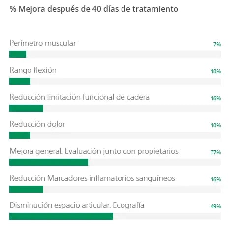 Mobeel - imagen 8 de 10