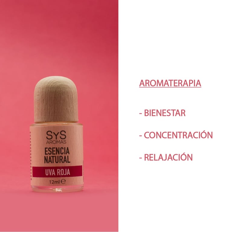 Esencia Frutos Rojos - imagen 5 de 19