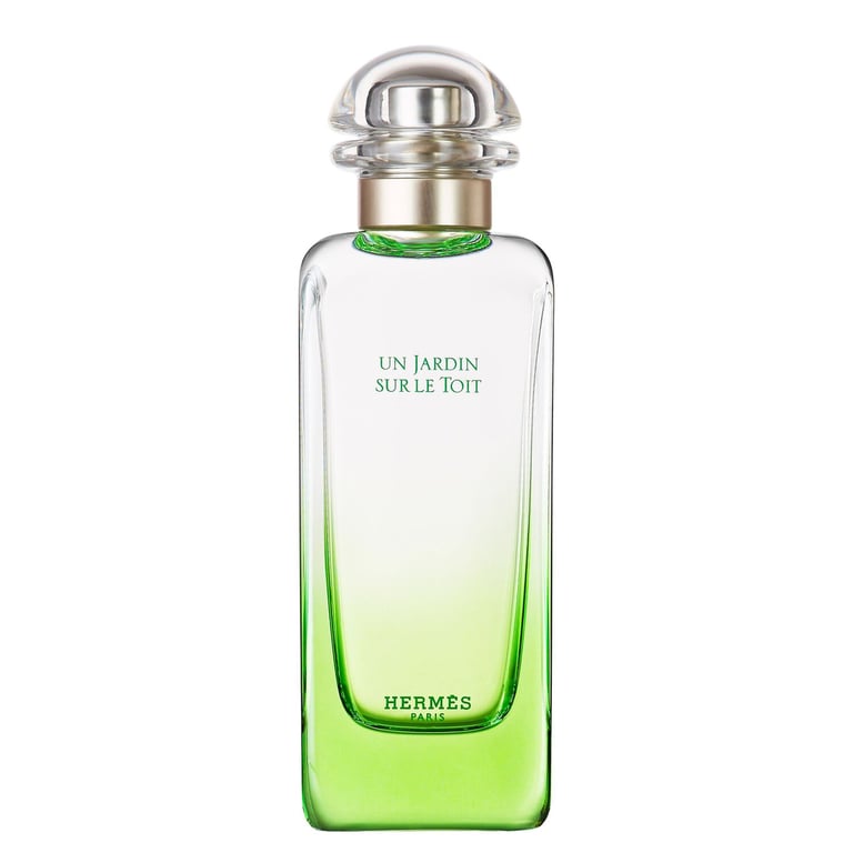 Un Jardin Sur Le Toit EDT 100 ml von Hermes