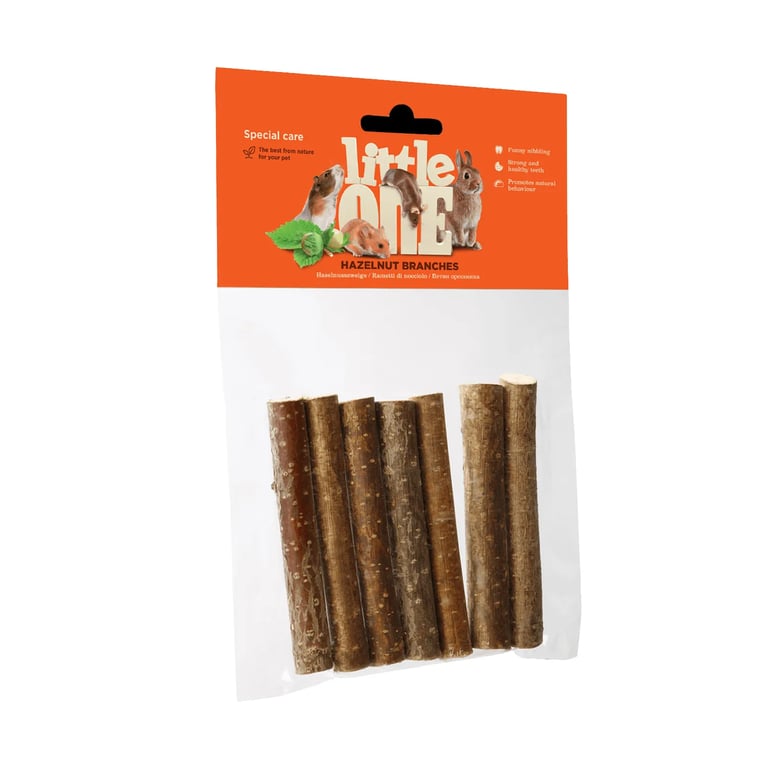 Snack Haselnuss-Zweig