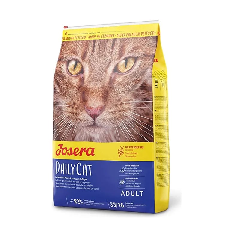 Volwassen Kat Dailycat