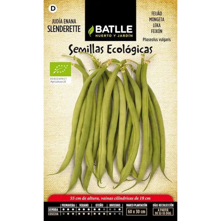 Graines Haricot Nain Slenderette Eco