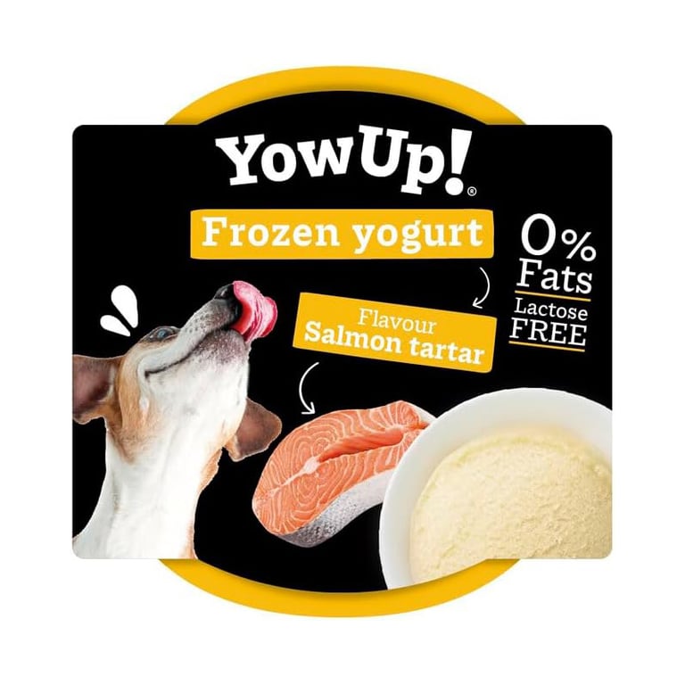 Yogur Helado De Tartar De Salmón Para Perros