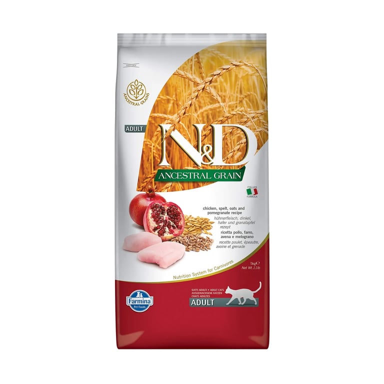 Nd Cat Ancestral Pollo