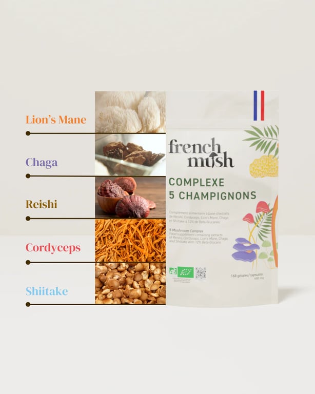 Complexe 5 Champignons BIO - imagen 4 de 5