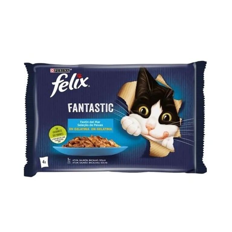 Fantastic Festin Del Mar En Gelatina