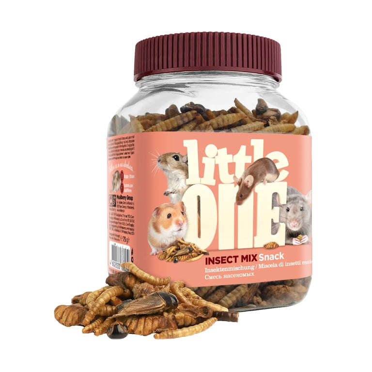 Snack Mix Insekten