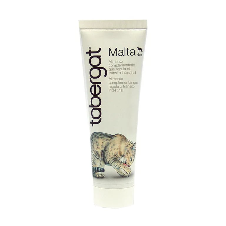 Tabergat Malte Chat