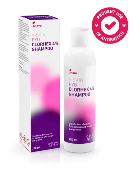V-SKIN PYO Champú Clorhex 4%