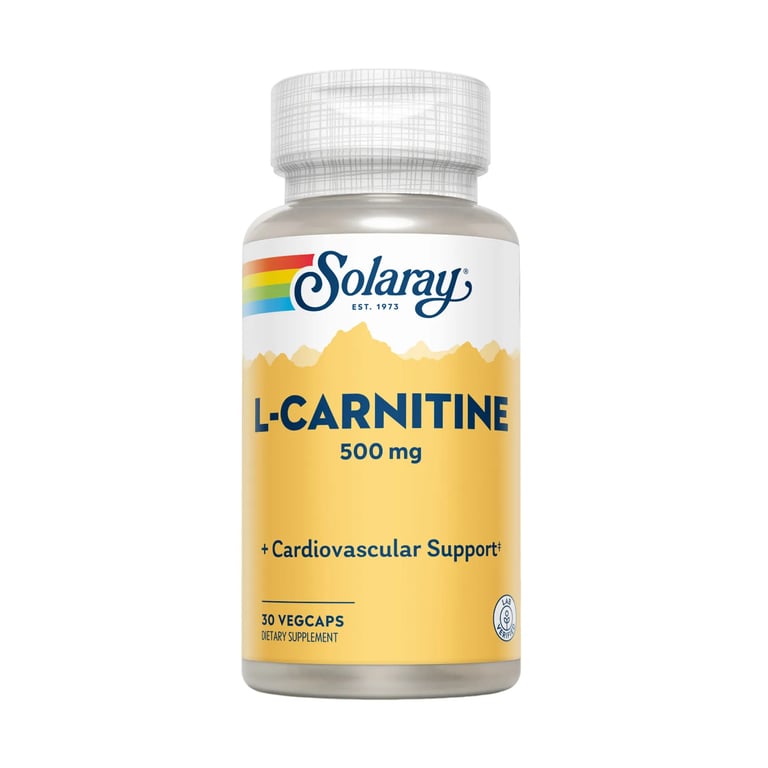 L-CARNITINA 500mg