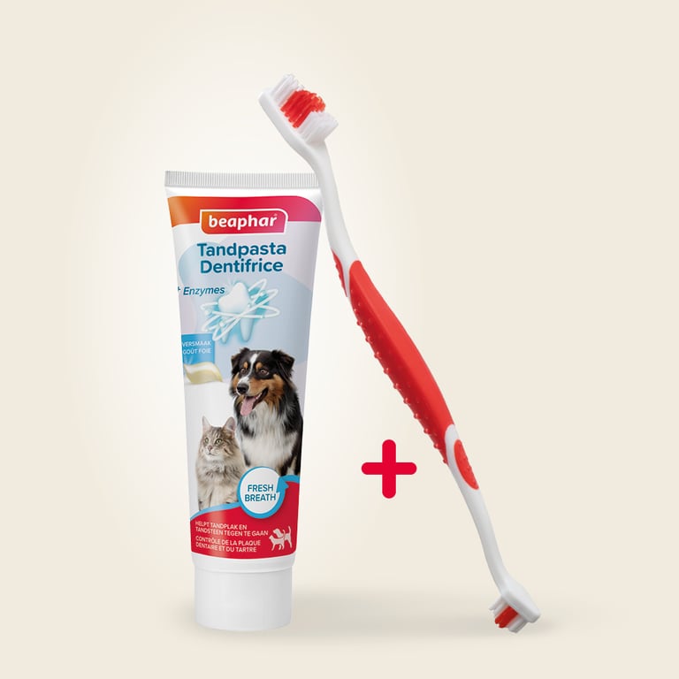 Pack Dental Pasta + Cepillo - imagen 4 de 5