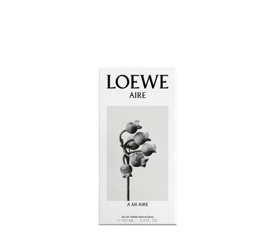 A Mi Aire EDT 100 ml da Loewe