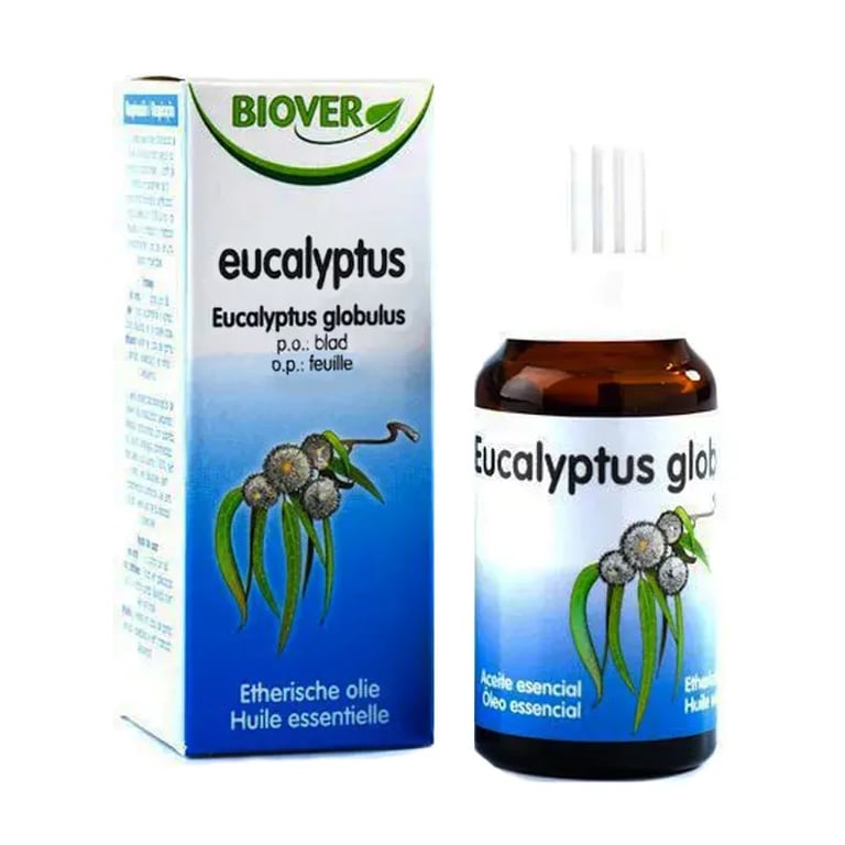 Ätherisches Öl Eukalyptus Bio