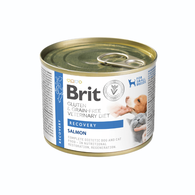Récupération Vétérinaire Chien Chat