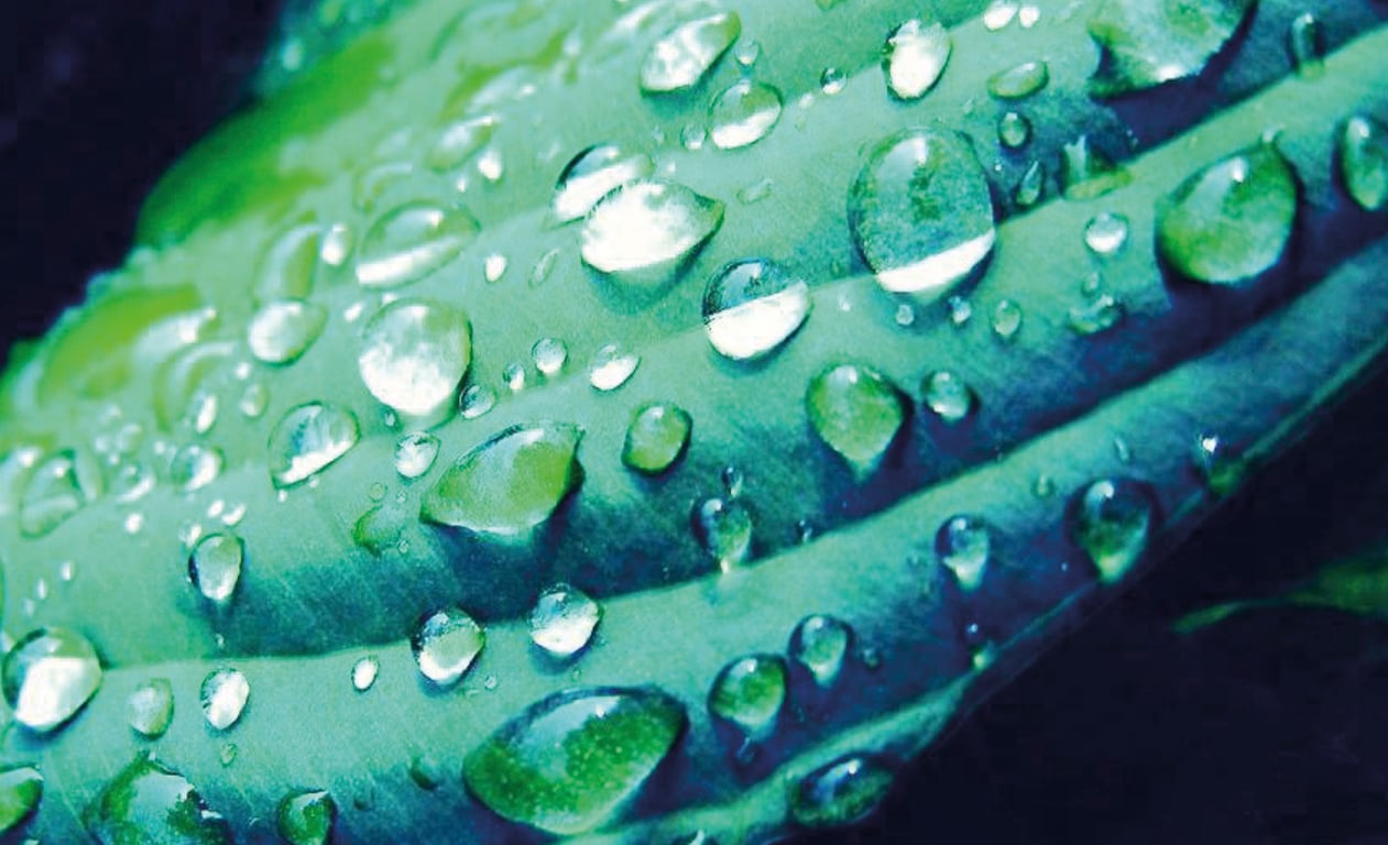 Hydra Genius Aloe Water Pele Mista A Oleosa 70 ml da LOreal Make Up