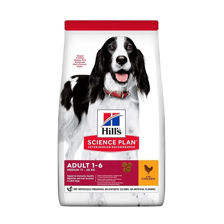 Perro Adult Medium Pollo