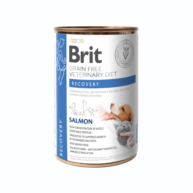 Veterinary Dog Recovery Saumon