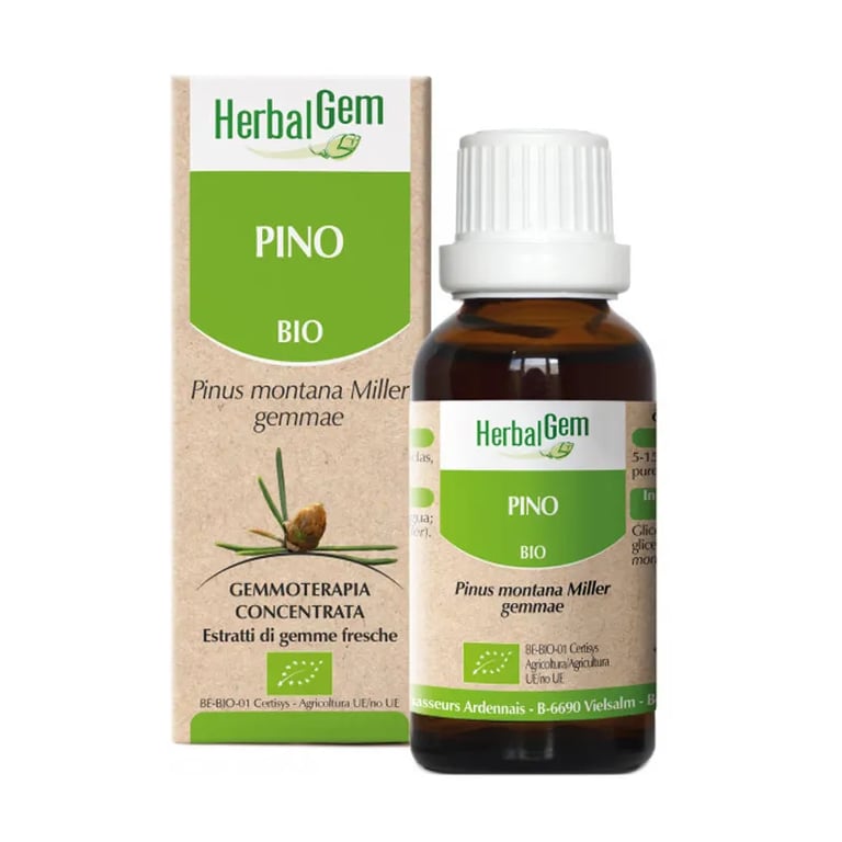 Pino