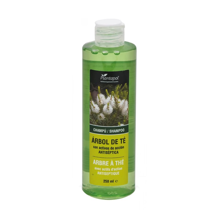 Teebaum-Shampoo mit antiseptischen Wirkstoffen