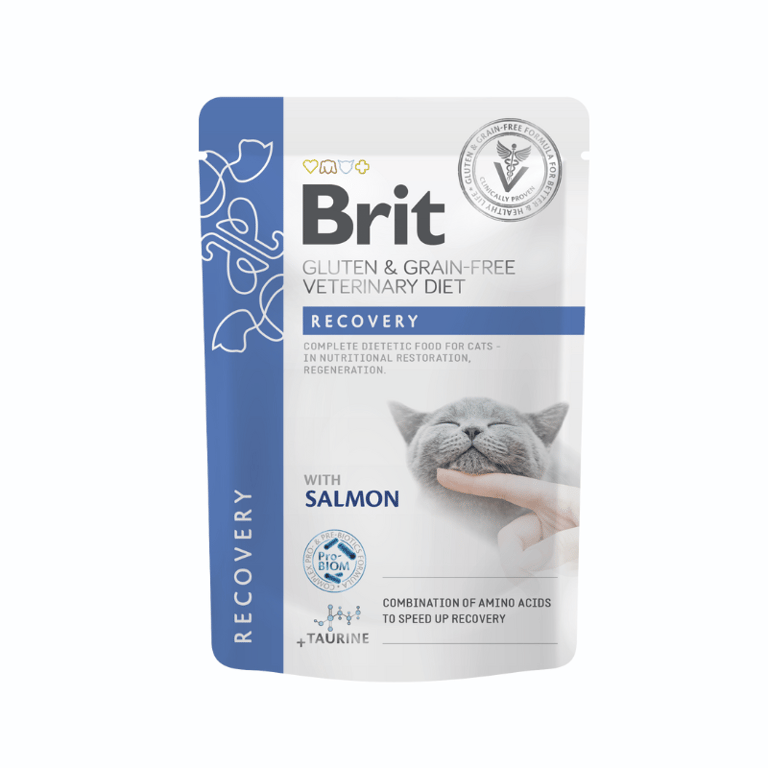Veterinary Cat Gravy Recovery - imagen 2 de 2