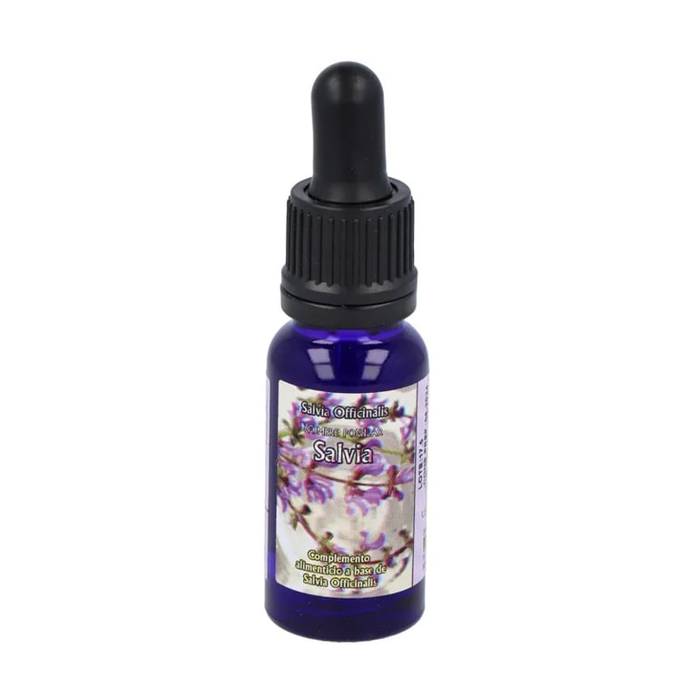 Salvia