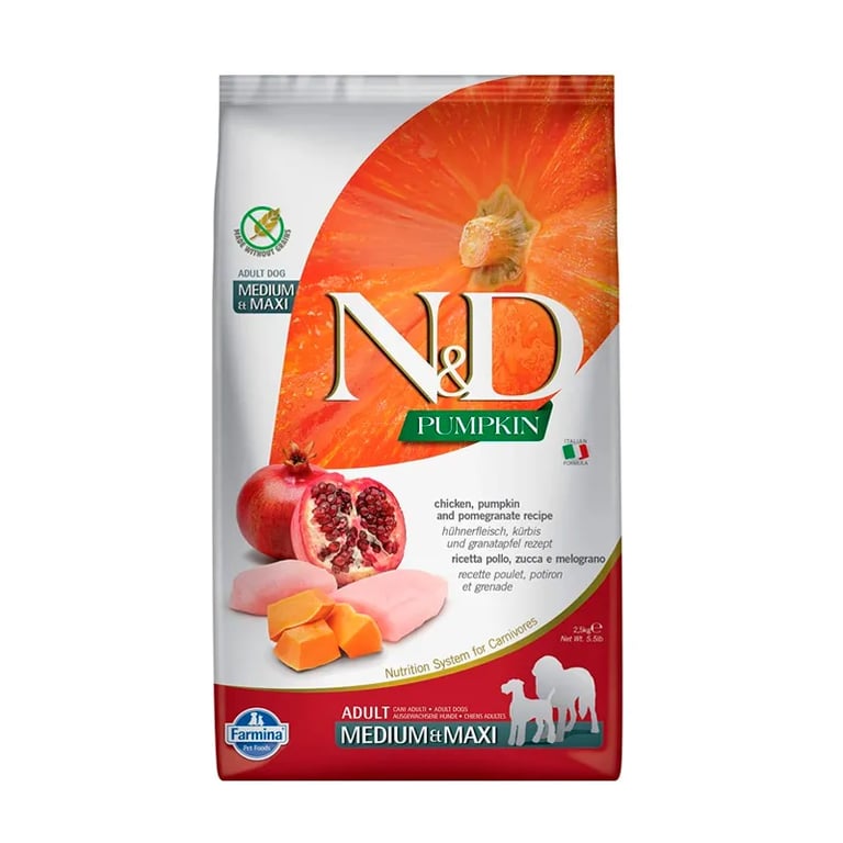 Nd Dog Pumpkin Medium Maxi Pollo
