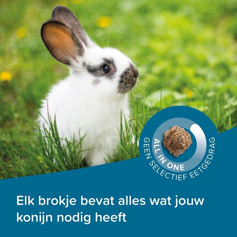 Care+ Lapin Junior - imagen 4 de 5