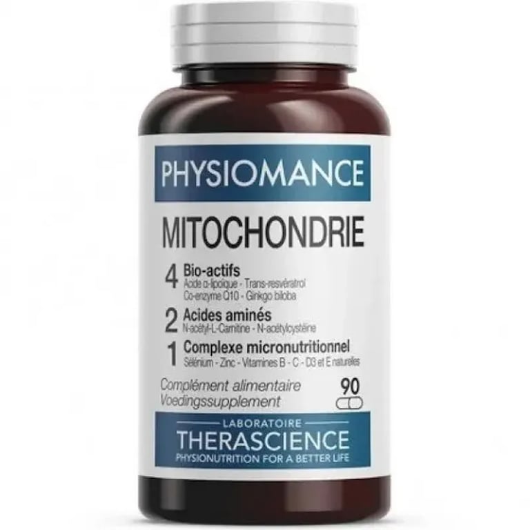 Mitocondria