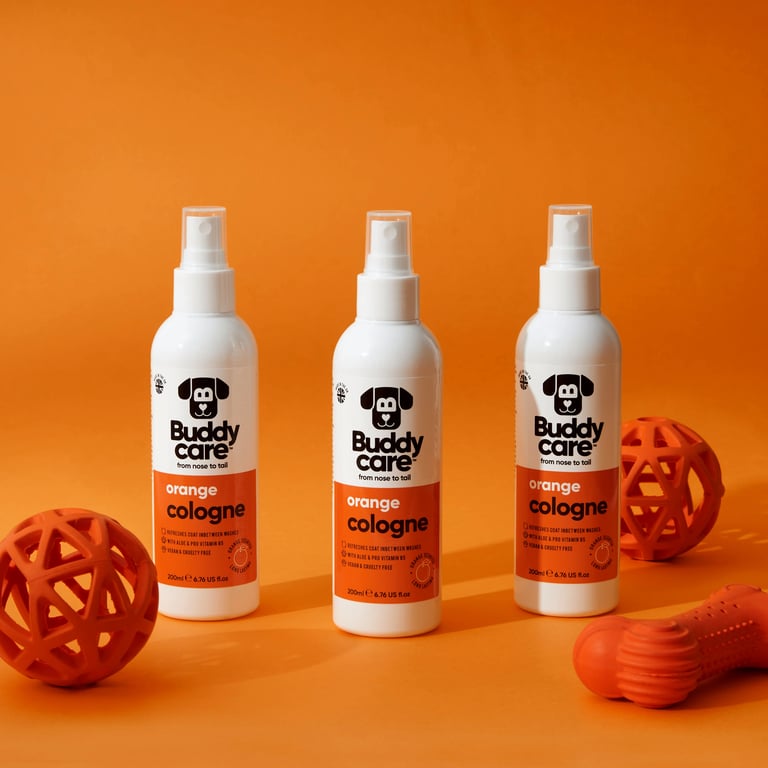 Hundekolonie Orange - imagen 3 de 3