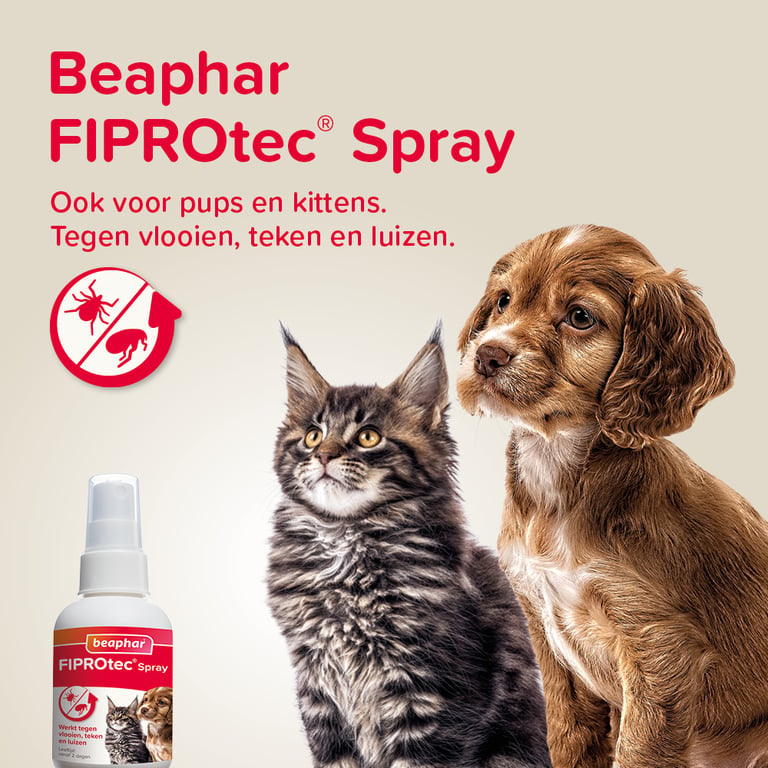 Fiprotec Spray Antiparasitaire - imagen 4 de 5