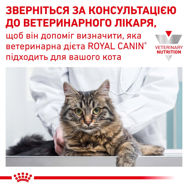 Veterinary Gastrointestinal Kitten Paté - imagen 7 de 8