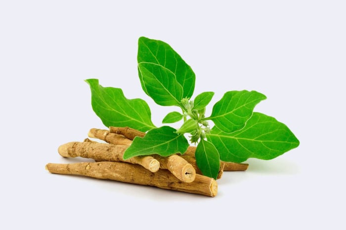 Adaptogenius Ashwagandha Fermentée - imagen 3 de 4
