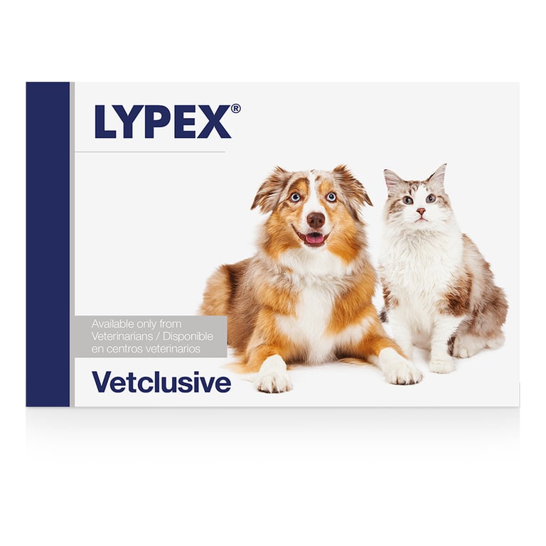 Lypex