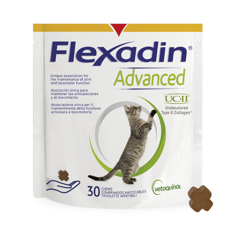 Flexadin Advanced Chat