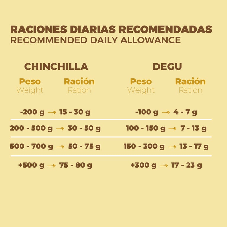 Chinchillas und Degús - imagen 2 de 6