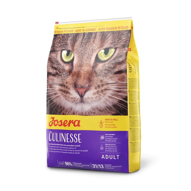 Volwassen kat Culinesse