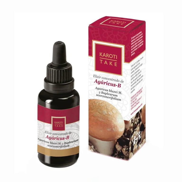 Karoti-Take Agaricus-B