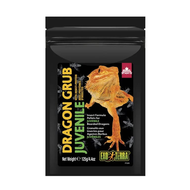 Dragon Grub Jugendliche
