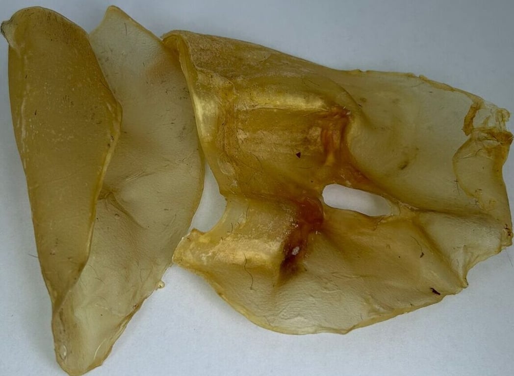 Oreja de Ternera Deshidratada