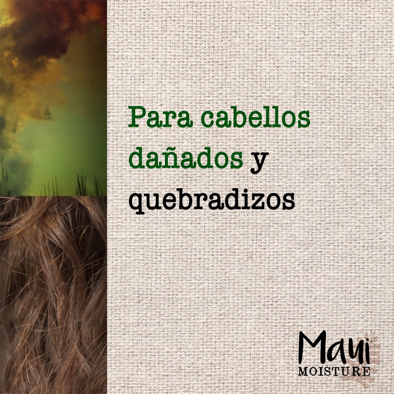 Maui Bamboo Fibers Shampooing 385 ml de Maui