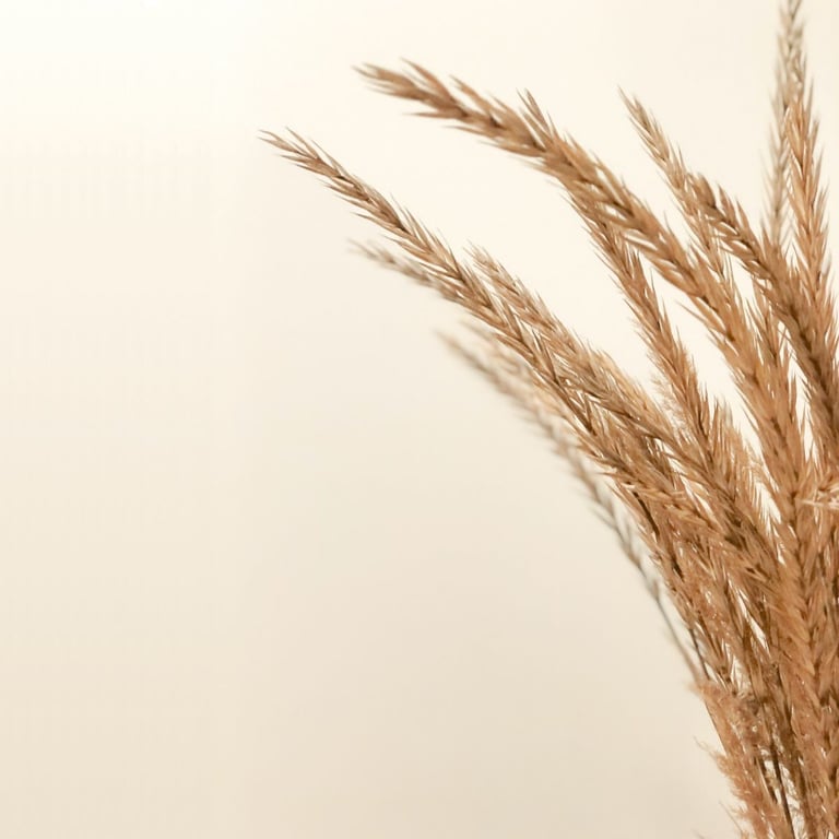 Aveia Topic Óleo-Gel Duche Sem Sabão 750 ml da Avena Kinesia