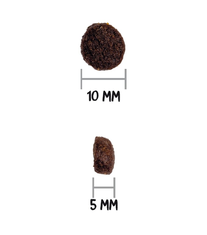 Prime Grain Free ini Lamb Canine - imagen 4 de 4