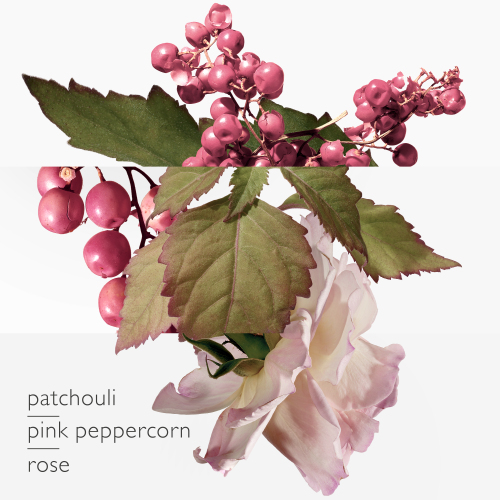 Twilly D'Hermès Eau Poivrée EDP 30 ml von Hermes