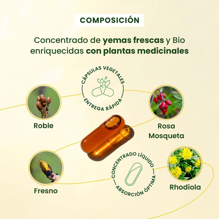 Gemmocaps Stress-Protect - imagen 4 de 6