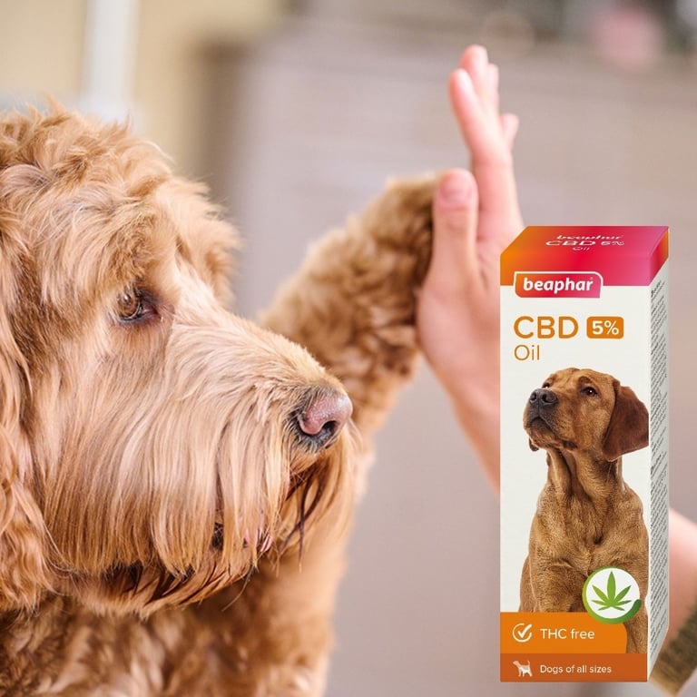 Aceite CBD 5% para Perros - imagen 2 de 2